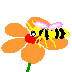 minizoo